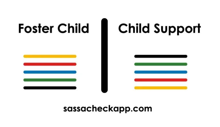 Difference Between Foster Child and Child Support Grant