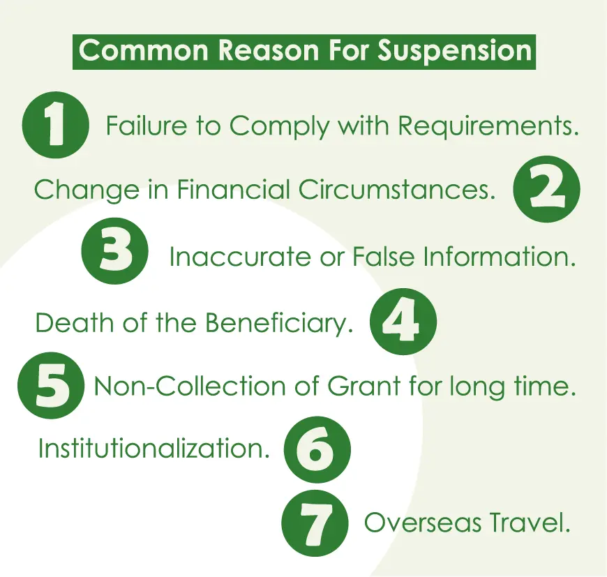 common reasons for sassa grant suspension