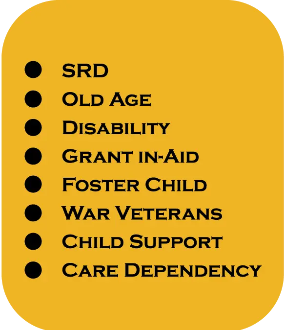 all sassa grant types